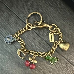 Coach Gold Charm Key Holder with Colorful Charms